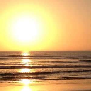 Meet your Posher, Tamara